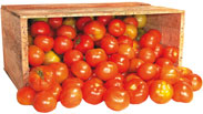 Tomate Salada - 20kg